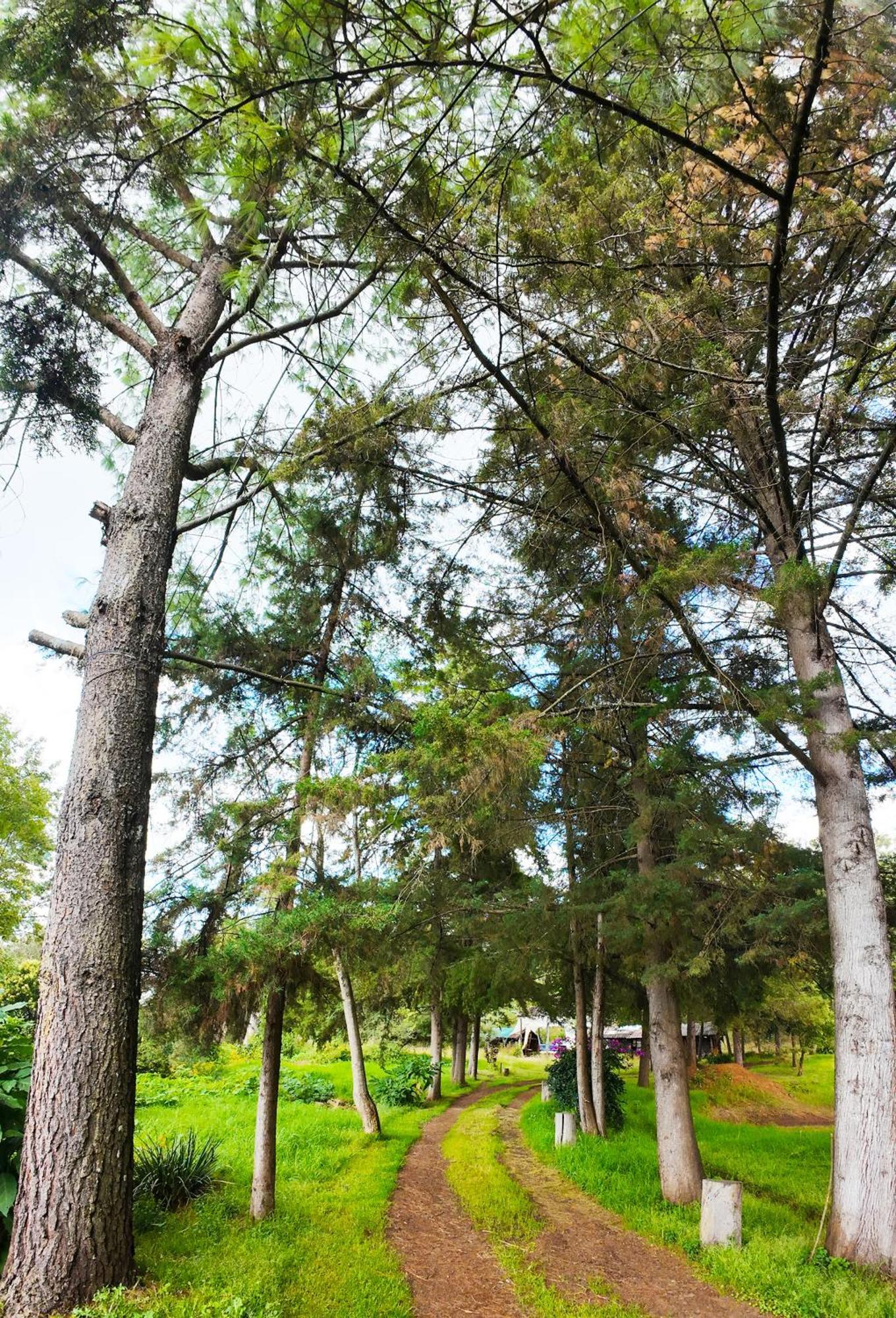 Villa Patzcuaro Garden Hotel Dış mekan fotoğraf